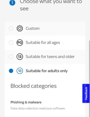 Screenshot_20240809_171806_Samsung Internet.jpg