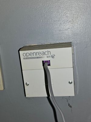 20240913_143051.jpg