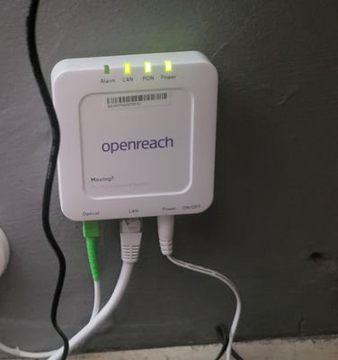 1000017516.jpg