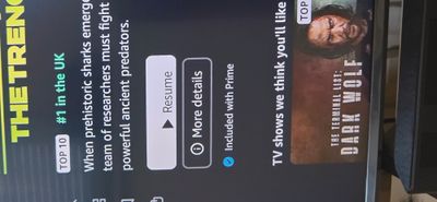 17566578207095293681654748874894.jpg