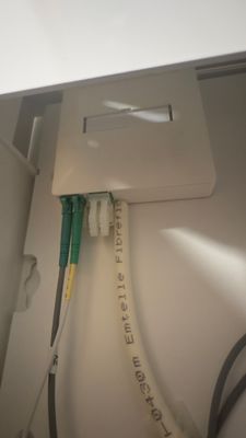 IMG_1777.jpeg