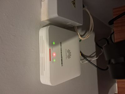 1000020441.jpg