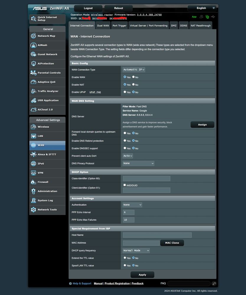 Asus using google for the DNS Server