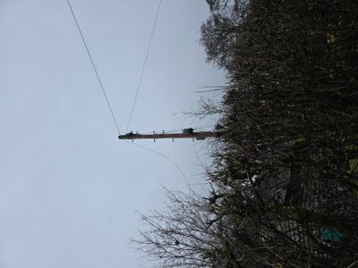20260119_121123.jpg