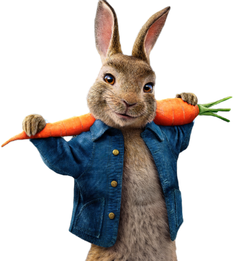 Nimbob_0-1771258299697.png