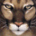 Avatar for CougarGB