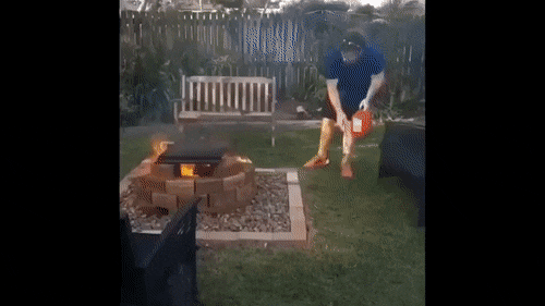 MeanSmoothItaliangreyhound-size_restricted.gif