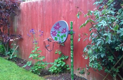 garden-sky-dish-2-520x338.jpg