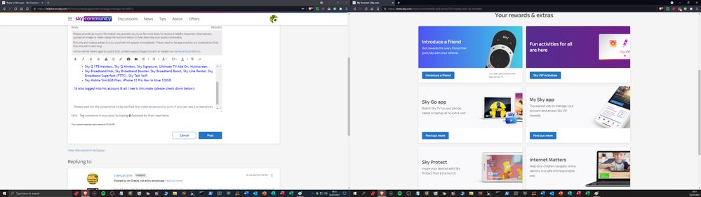 Website screenshot 2
