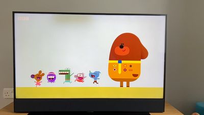 Duggie 2.jpg