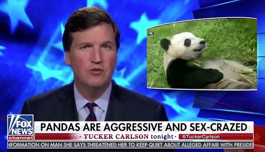 c2a_tuckercarlsonpandas.jpeg