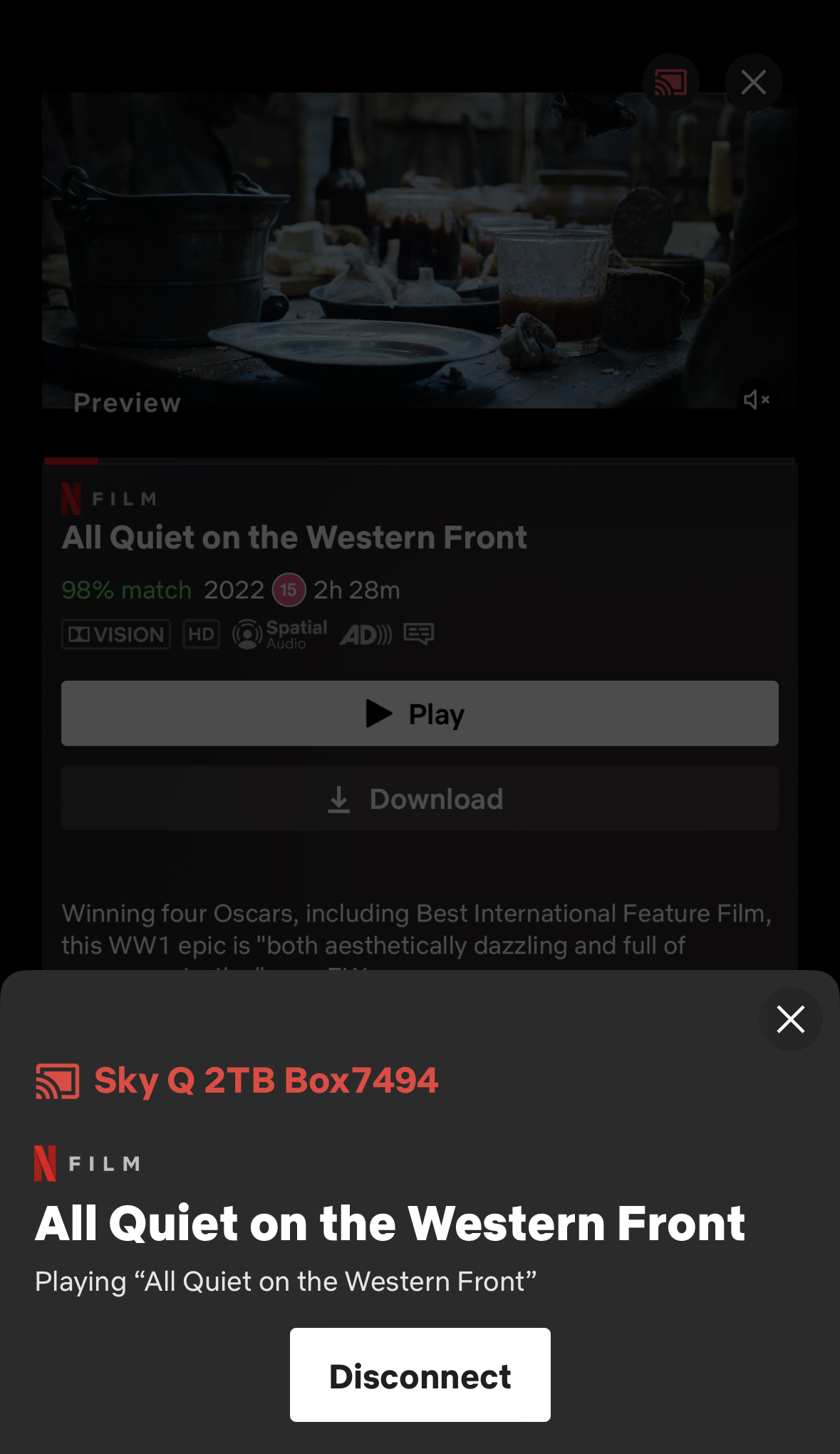 ANSWERED CAN T LOG INTO NETFLIX VIA SKY visual data 6