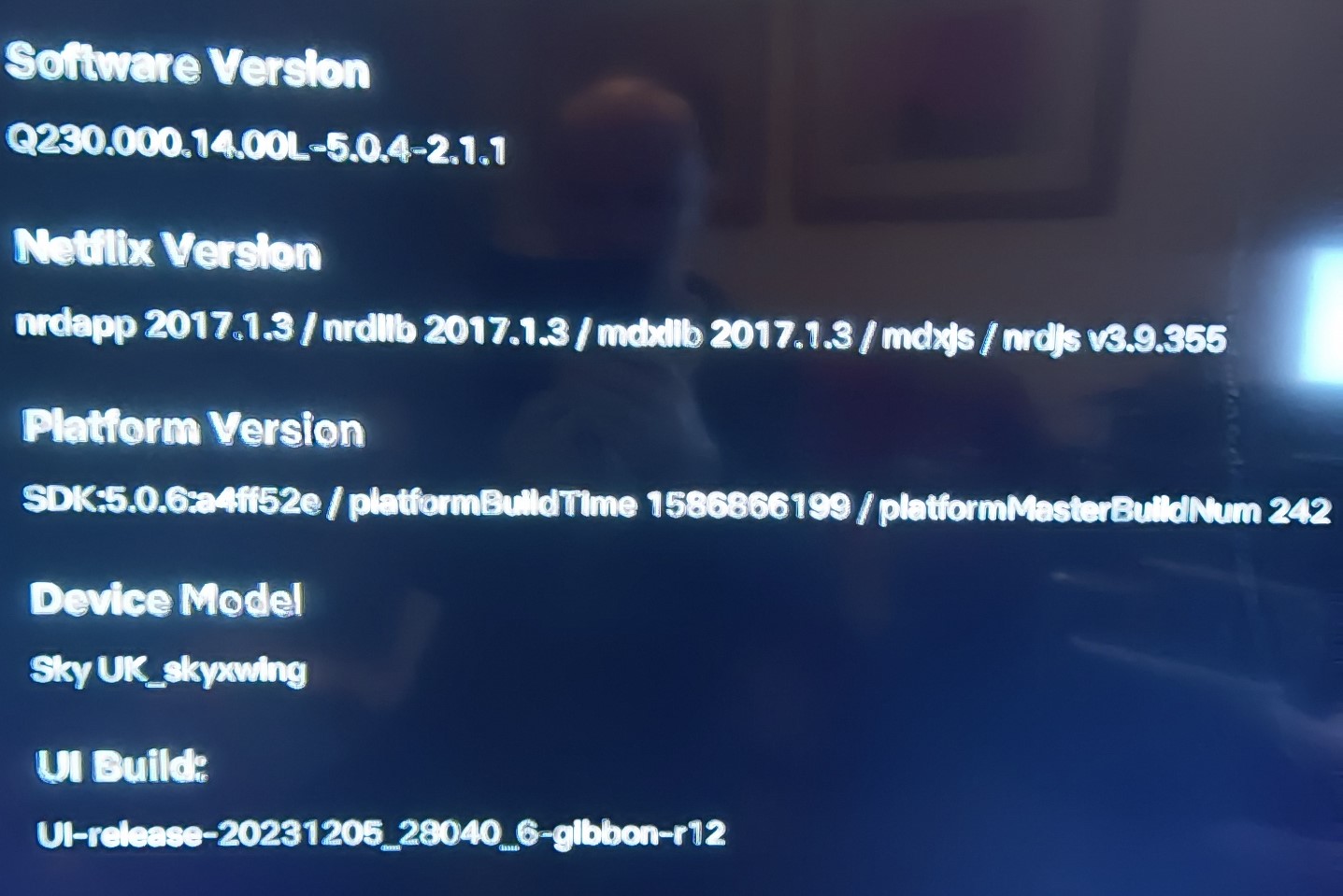 Answered Netflix Red Spinning Circle on Launch Page 2 Sky Community