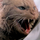 Avatar for Jones_The_Cat
